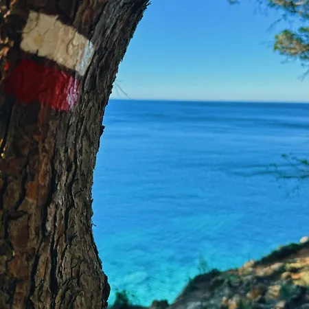Romy T3 B - A 20m De La De Cala Montgo * L'Escala